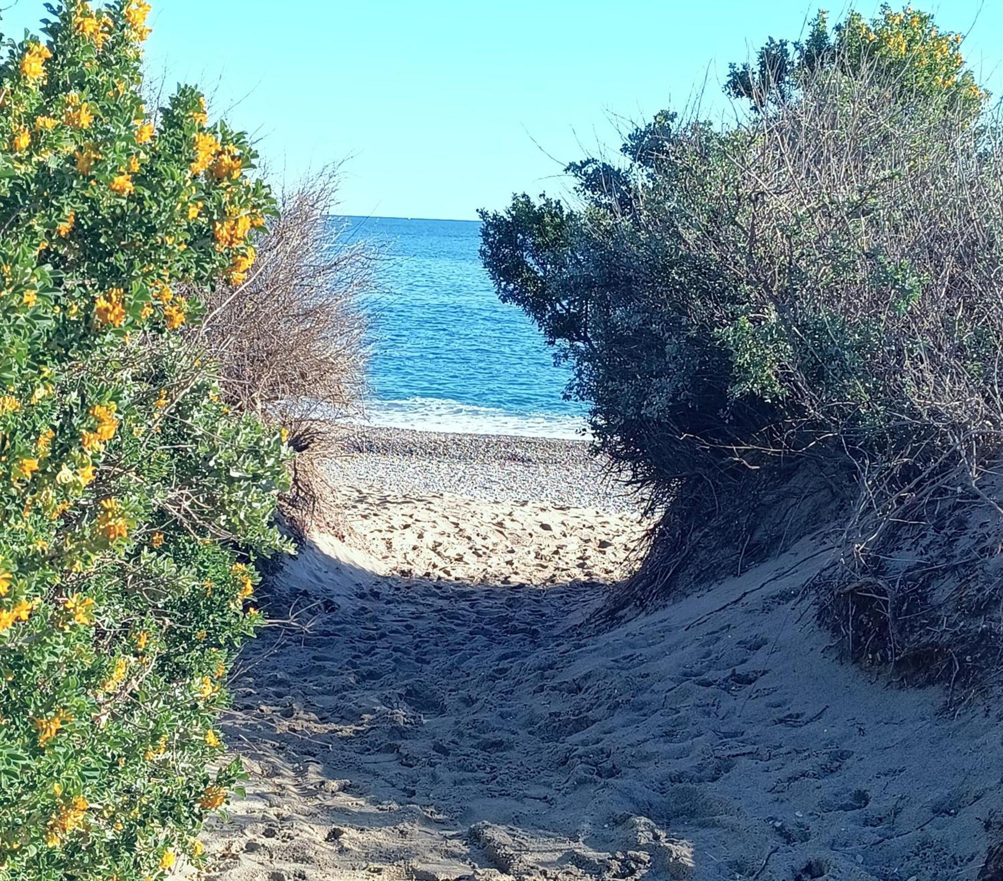 Logement Plage Saint-Cyprien  Dış mekan fotoğraf
